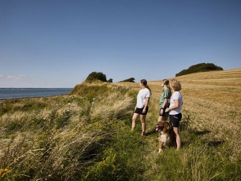 Vodatent Emmerbølle Strand Camping - Zuid-Denemarken - Afbeelding N°3