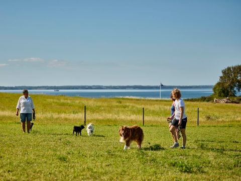 Vodatent Emmerbølle Strand Camping - Zuid-Denemarken - Afbeelding N°2