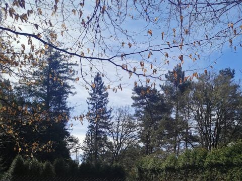 Camping Les Sapins de Corrèze - Doubs