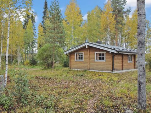 Vaikko Riverside Resort - North Karelia - Afbeelding N°12