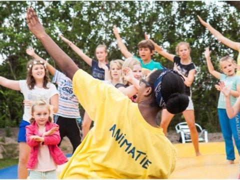 Kustpark Nieuwpoort - West-Vlaanderen - Afbeelding N°5