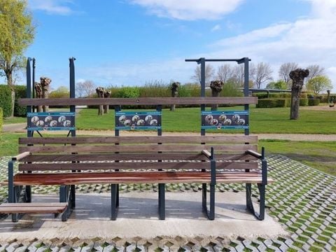 Kustpark Nieuwpoort - West-Vlaanderen - Afbeelding N°5