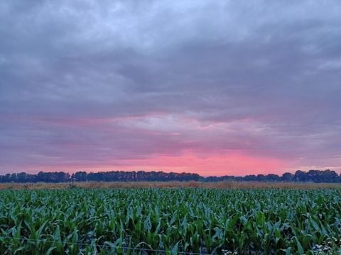 Vodatent Boerderijcamping het Katreel - Haaksbergen - Afbeelding N°5