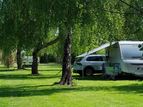 Vodatent Camping de Boerenzwaluw - Hollands Kroon - Afbeelding N°5