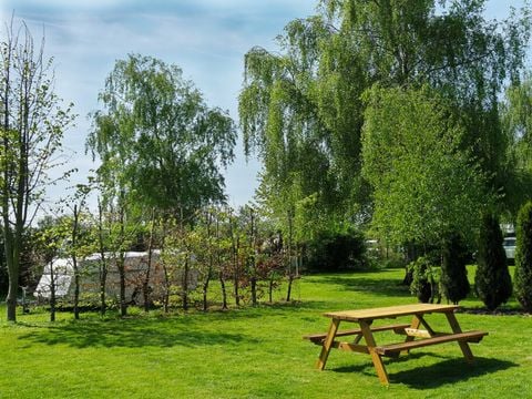 Vodatent Camping de Boerenzwaluw - Hollands Kroon - Afbeelding N°3