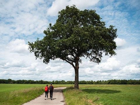Landgoed de Huynen - Aa en Hunze - Afbeelding N°4