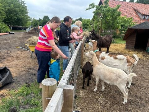 Zomers Buiten - Pekela - Afbeelding N°3
