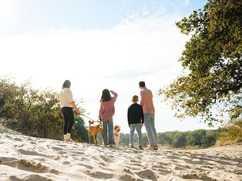 Vakantiepark Sandberghe - Uden - Afbeelding N°4