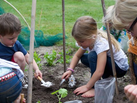 Vakantiepark Sandberghe - Uden - Afbeelding N°18