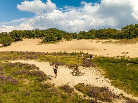 Vakantiepark Sandberghe - Uden - Afbeelding N°34