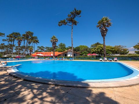 Camping Angeiras - Camping Noord-portugal