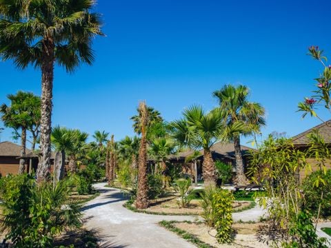 Camping Alannia Costa Blanca - Alicante