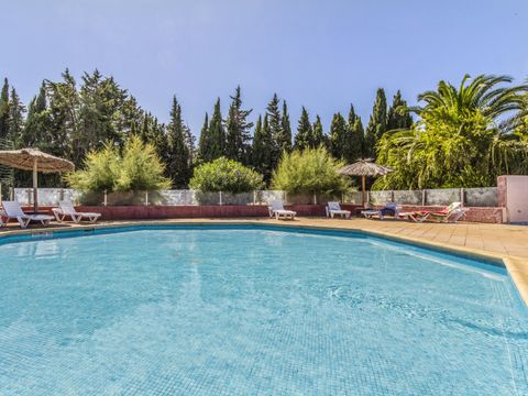 Village Vacances Les Abricotiers - Camping Pyrénées-Orientales - Afbeelding N°3