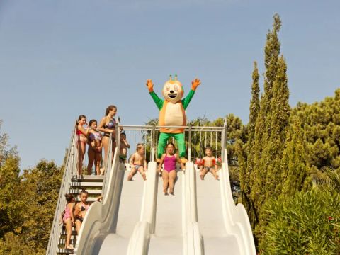 Camping Les Pins - Pyrénées-Orientales