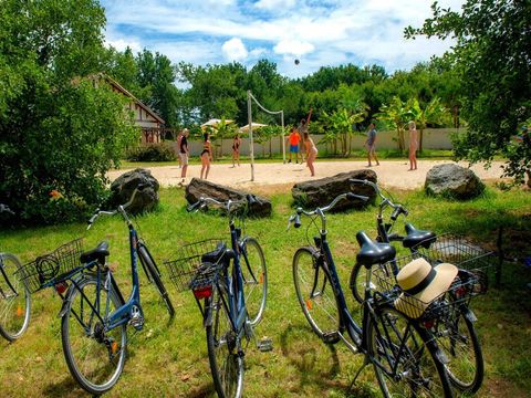 Camping Aurilandes - Landes