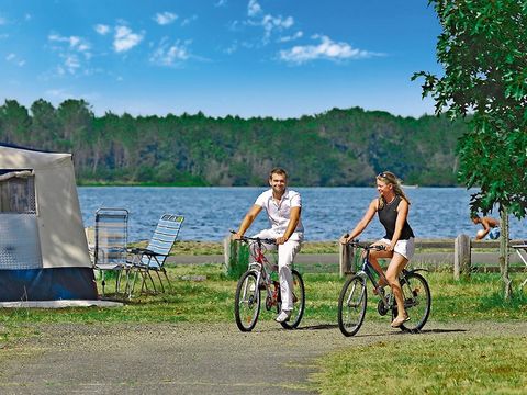 Camping Aurilandes - Landes