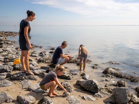 Camping Scheldeoord - Borsele - Afbeelding N°33