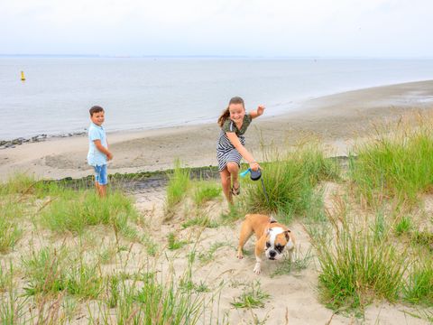 Camping Scheldeoord - Borsele - Afbeelding N°32