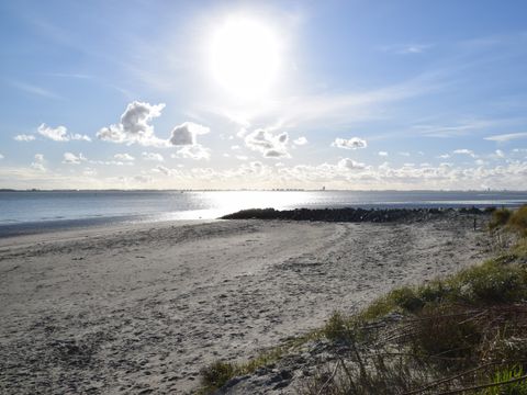Camping Scheldeoord - Borsele - Afbeelding N°34