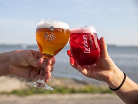 Camping Scheldeoord - Borsele