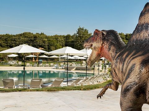 Camping Mon Perin - Camping Istrië