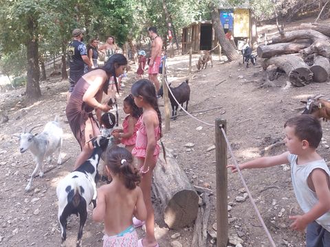 Camping Domaine de Gaujac - Camping Paradis - Gard