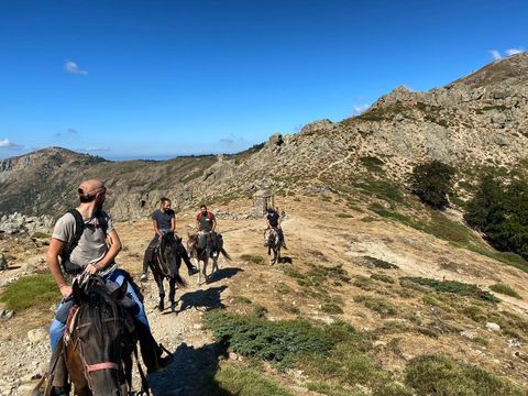 Camping Lacasa - Zuid-corsica