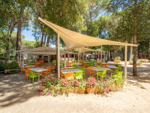 Camping Etruria - Livorno