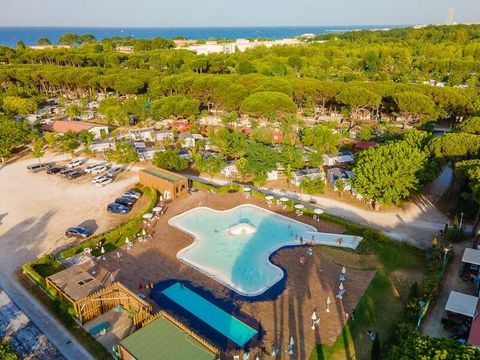 Camping Pineta sul Mare - Camping Forlì-Cesena - Afbeelding N°0
