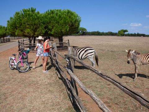 Camping Bi Village  - Istrië