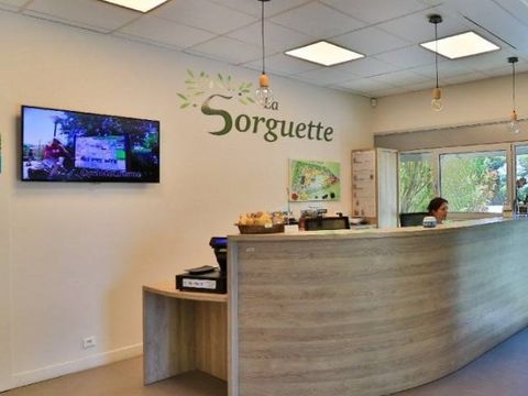 Camping La Sorguette - Camping Vaucluse - Afbeelding N°4