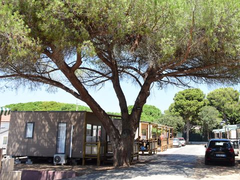 Camping Tikayan le Méditerranée - Camping Var - Afbeelding N°3