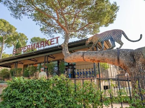 Camping Castell Montgri - Girona