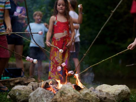 Camping  l'Arize - Camping Ariège - Afbeelding N°4