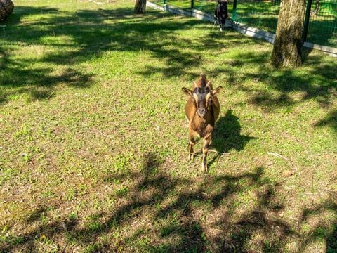 product_property.services