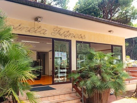 Camping Mare e Pineta - Ferrara
