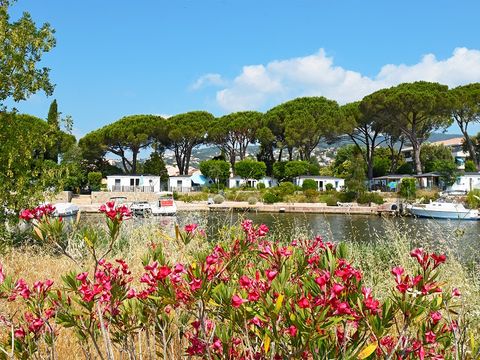 Camping Les Cigales - Camping Alpes-Maritimes
