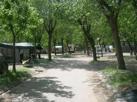 Pineta Family Camping Village - Ravenna