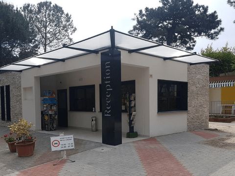 Pineta Family Camping Village - Ravenna