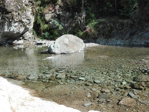 Camping Les Rives de l'Ardèche - Camping Ardèche