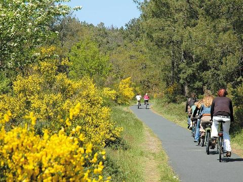 Camping Lou Pignada - Camping Landes - Afbeelding N°4