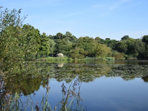 Camping Landae - Landes