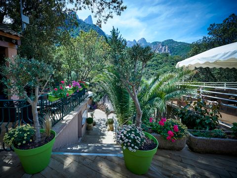 Camping Les Oliviers - Zuid-corsica