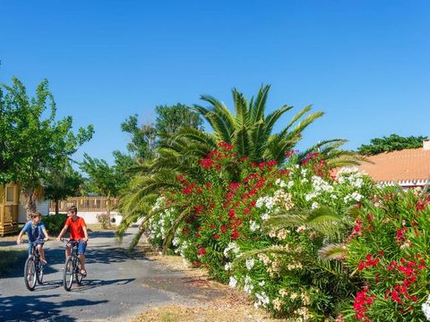 Camping Novela Port la Nouvelle - Camping Aube - Afbeelding N°3