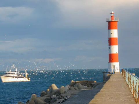 Camping Novela Port la Nouvelle - Camping Aube - Afbeelding N°5