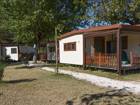 Camping International Riccione - Camping Rimini - Afbeelding N°5