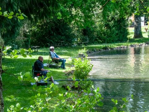 Camping les Etangs de Plessac  - Dordogne