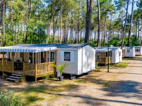 Camping Siblu Les Dunes De Contis - Funpass inclus - Camping Landes - Afbeelding N°3