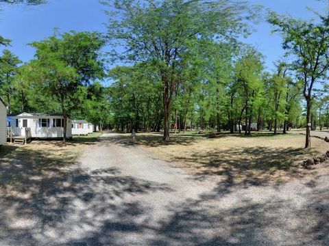 Camping Mas Sud Ardèche - Camping Ardèche - Afbeelding N°4