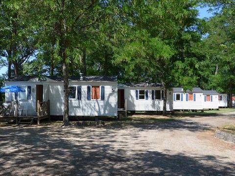 Camping Mas Sud Ardèche - Camping Ardèche - Afbeelding N°2